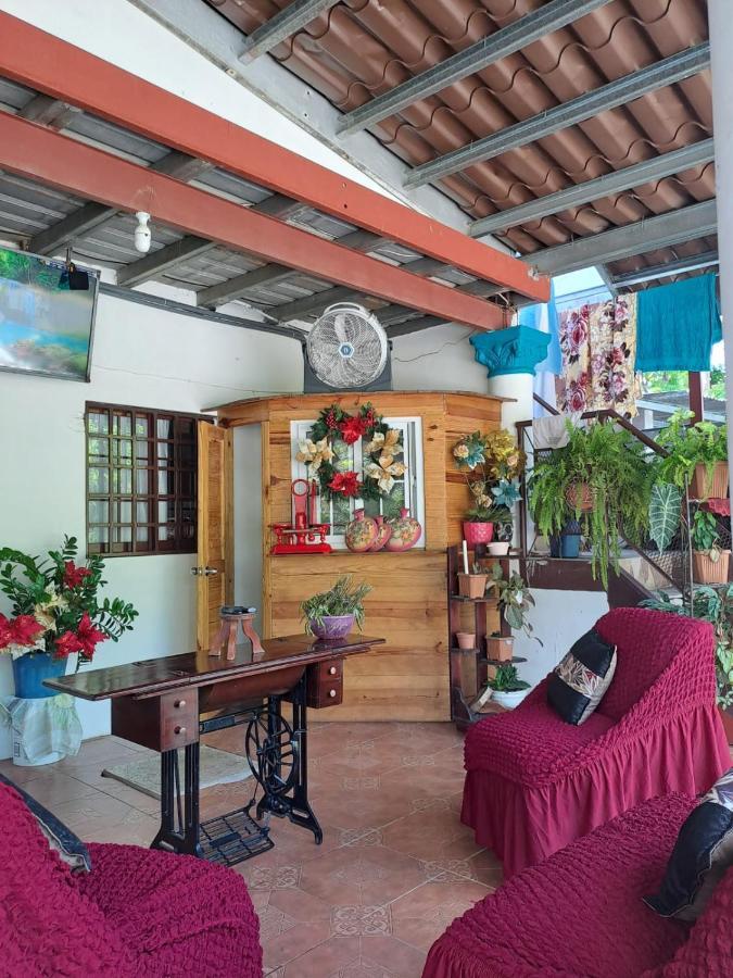 Hostal Familiar Noemi 다비드 외부 사진